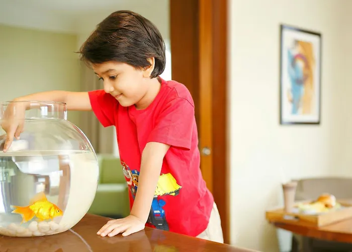 The Westin Pune Koregaon Park